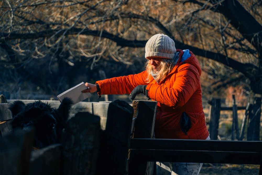 La Patagonia puede ser un territorio clave para la lucha contra el cambio climático