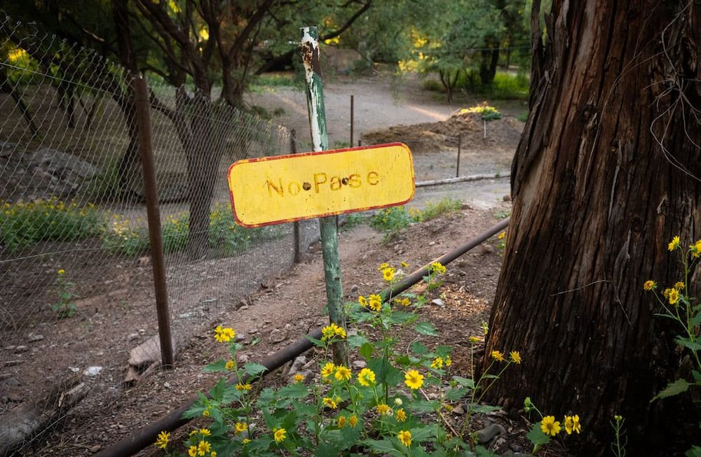 Muchos recintos han quedado vacíos tras la derivación a reservas o mediante el plan de adopción responsable. Mientras, entrenan a elefantas para que viajen. Foto: Ignacio Blanco / Los Andes