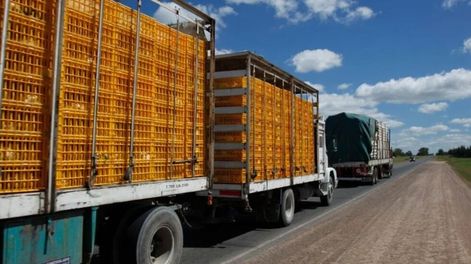 Lanzarán una herramienta para incrementar la seguridad sanitaria del transporte y mejorar la logística