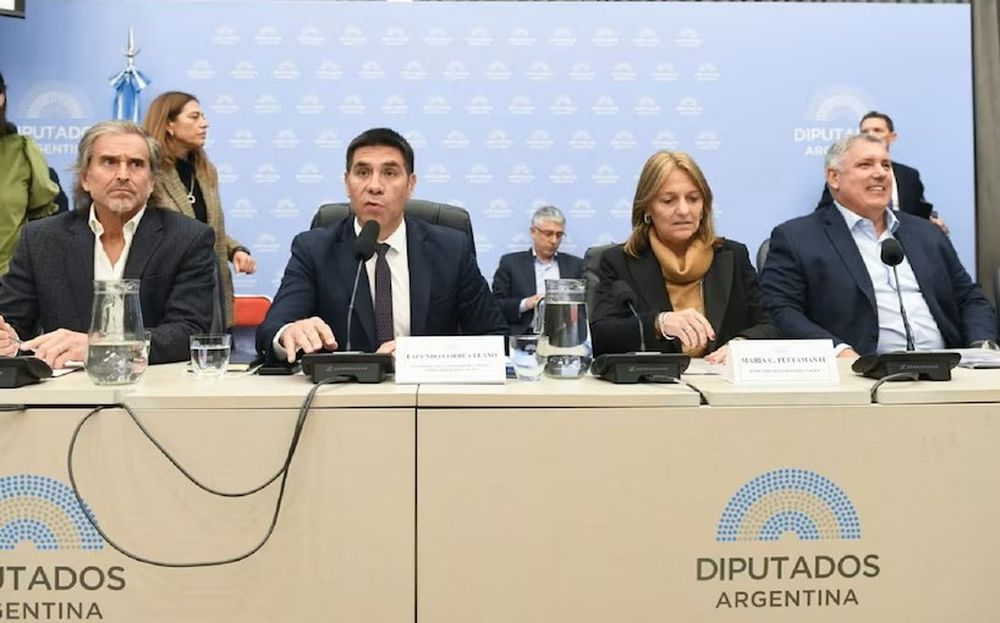 El libertario mendocino Facundo Correa Llano presidió el plenario junto con la secretaria de Energía, María Tettamanti &nbsp;