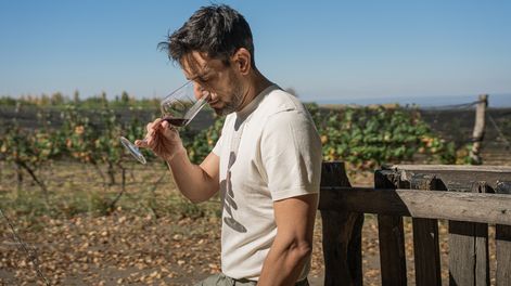 Un sommelier y dos enólogos se unen en Mendoza para explorar el Sangiovese desde una lógica poco habitual.