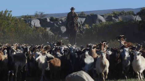 Nación cedió 21.000 hectáreas a los mapuches en Malargüe: los proyectos de las comunidades en el lugar. Foto: Claudio Gutiérrez/ Los Andes (Imagen ilustrativa).
