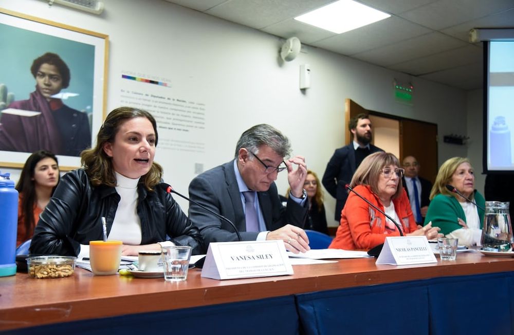 La Comisión de Legislación del Trabajo de Diputados comenzó a discutir la reducción de la jornada laboral (Foto: HCDN)