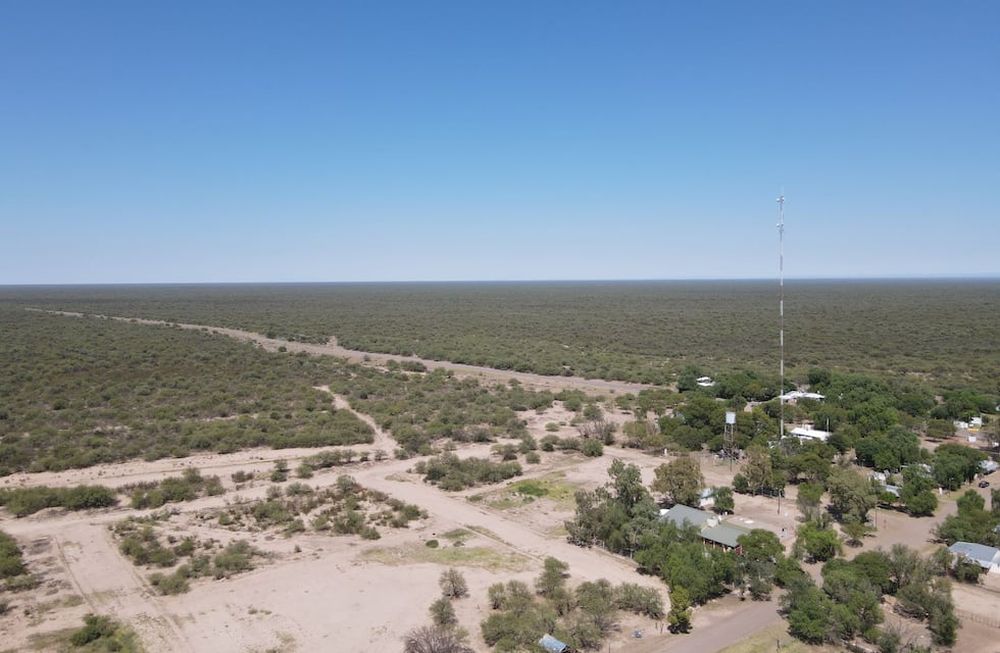 Imagen de dron sobre la Reserva de Biosfera Ñacuñan (Santa Rosa), uno de los sitios más representativos y no modificados de la vegetación natural del Desierto del Monte. (Crédito: Laboratorio de Geomática de Tierras Secas, Iadiza-Conicet.