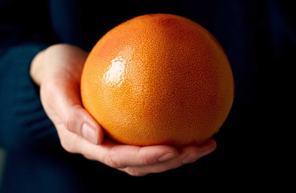 De ahora a septiembre habrá pomelos en las verdulerías. Cuando los compres, lavá las semillas, dejalas secar en una servilleta y guardalas en un frasco, para hacer con ellas un eficiente preparado contra las virosis del jardín.