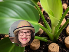 María Ferrarotto, experta en plantas, revela el uso de los corchos en las macetas