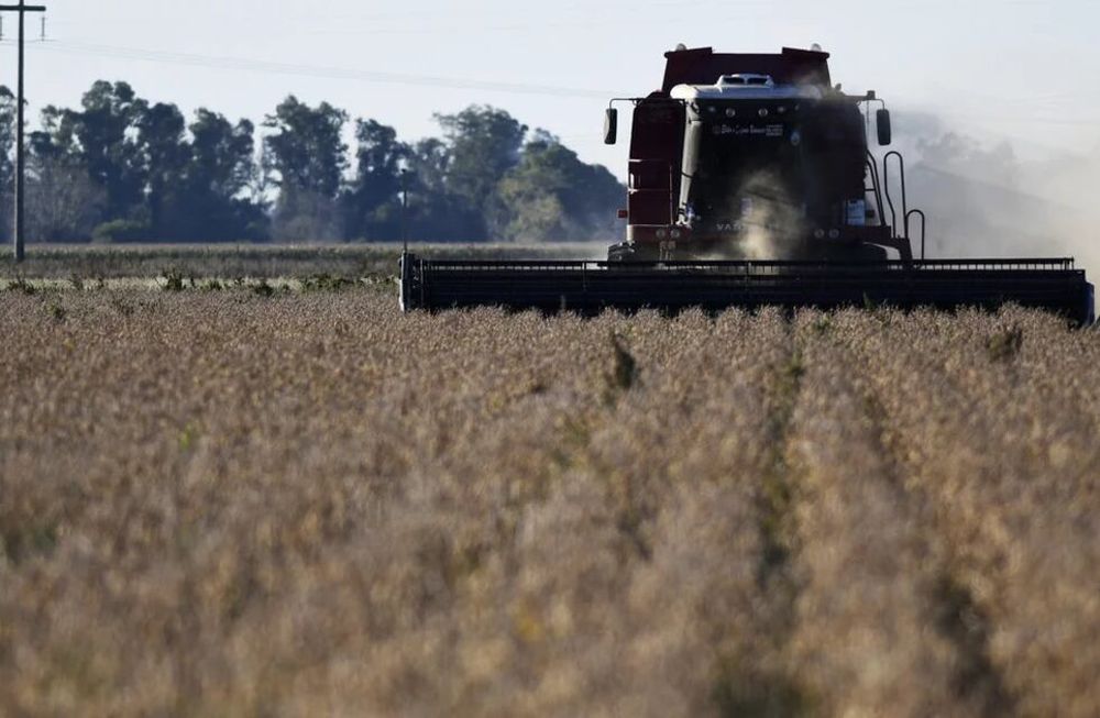 Arca cerró la registración del cupo de US$7.000 millones previsto por el decreto 682/2025.