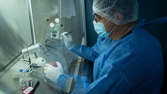 El laboratorio se ha convertido en un eje fundamental para el diagnóstico y seguimiento de la enfermedad. Foto: Ignacio Blanco / Los Andes