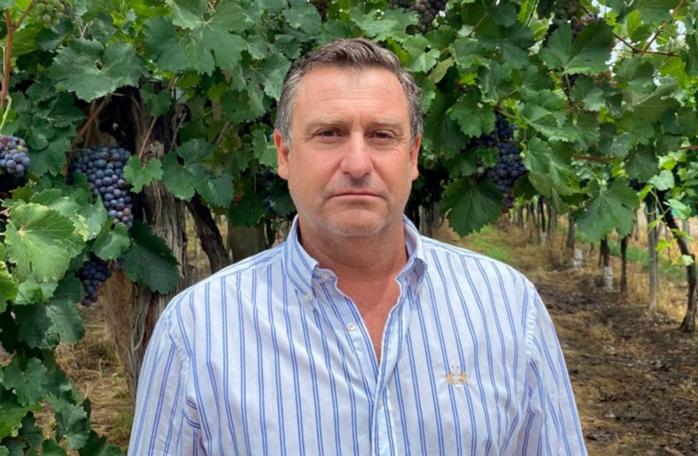 Ernesto Villasante es gerente y técnico de Agrícola Villasante, que produce y exporta uvas para consumo en fresco.