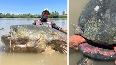 Alessandro Biancardi luchó 40 minutos para capturar al animal. Foto: Instagram / @madcat_fishing