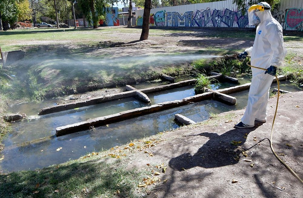 Personal de Zoonosis de Guaymallén desinfectando para evitar la propagación del mosquito Dengue  en el lago de Bandera de los Andes y Urquiza - Foto Orlando Pelichotti / Los Andes