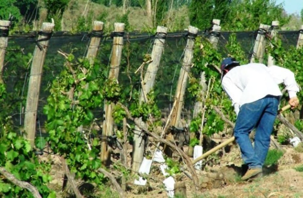 La evolución de la estructura productiva, el mercado de trabajo y las condiciones de vida en el período 2010-2023, eje del diagnóstico de la UCA.