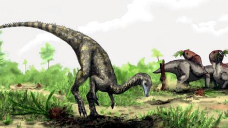 Un antiguo antecesor de los dinosaurios