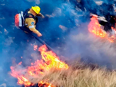 Chubut: un nuevo foco de incendio se originó en Puerto Madryn. Foto: NA
