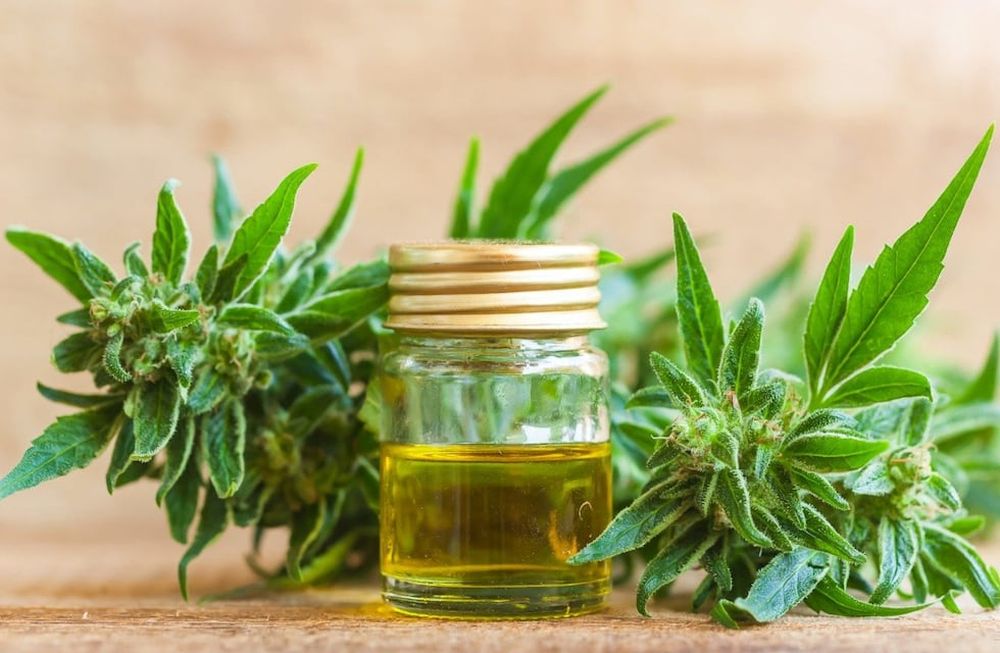 Cannabis medicinal y cáñamo: Mendoza quiere su propio registro para usuarios y productores. Foto: Imagen ilustrativa