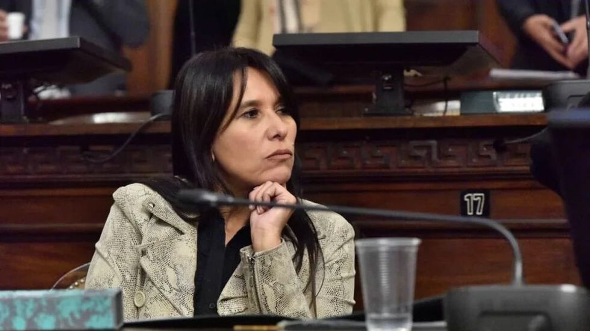 En Aconcagua Radio la senadora Derrache habló de su proyecto que busca paridad de género en el Estado