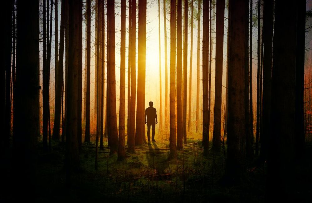 Los astros tienen un dato alarmante para Cáncer