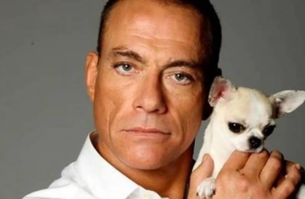 Todo un héroe: Jean-Claude Van Damme rescató a una perrita chihuahua