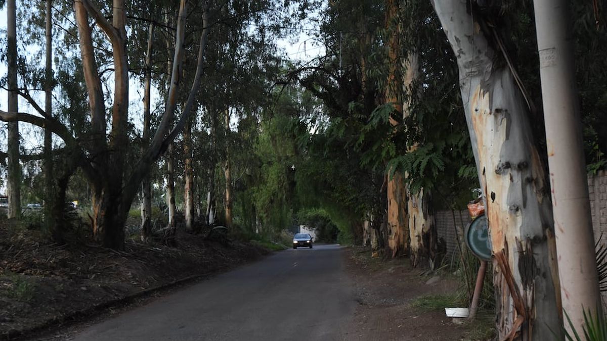 Vecinos de Chacras se oponen a una obra de la Panamericana y denuncian ...