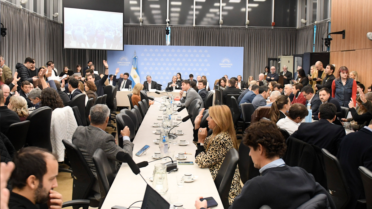 Arrancó el tratamiento del Súper RIGI en Diputados: cuáles son los sectores que el Gobierno busca potenciar