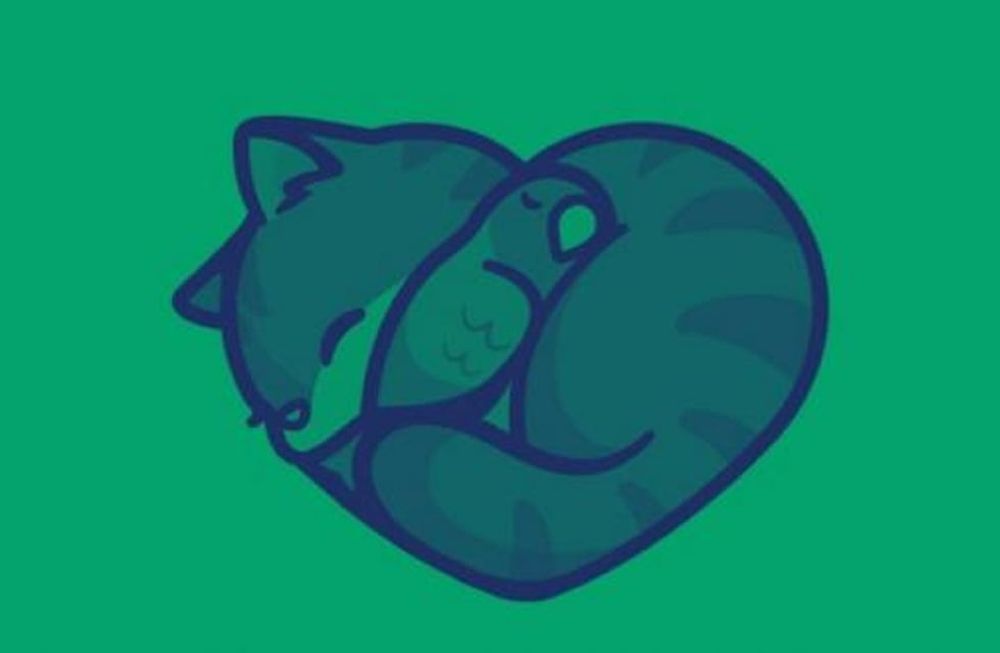 ¿Qué es lo primero que ves? El reto visual que mide qué tan perseverante sos. (Web)