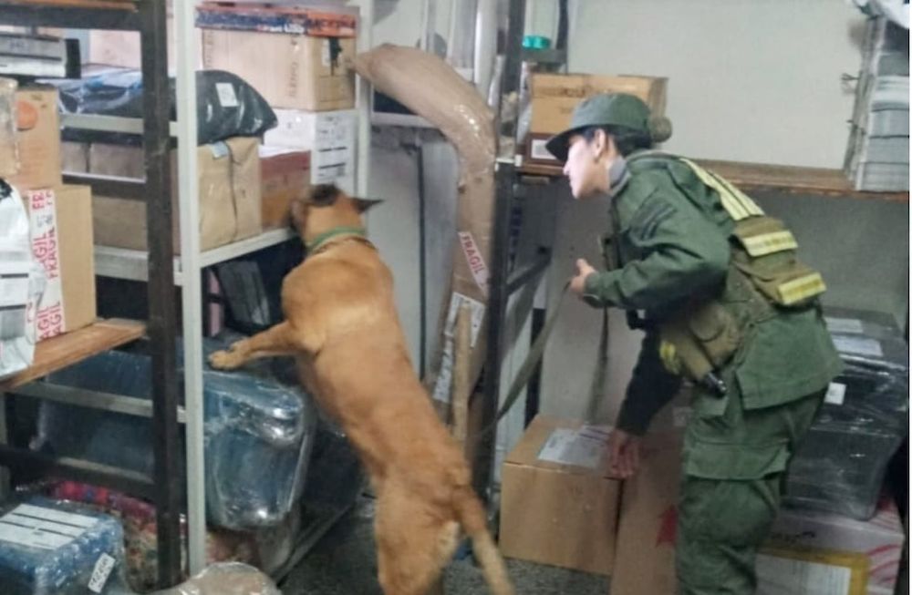 Imagen ilustrativa: un perro buscó droga en una depósito de encomiendas, en Mendoza. | Gendarmería Nacional