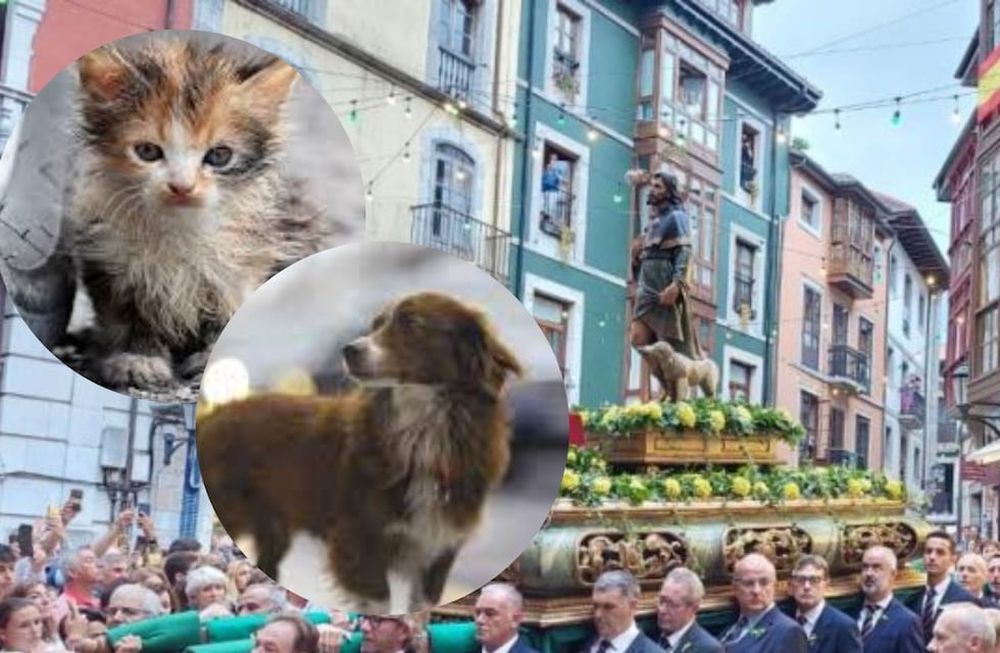 San Roque, el santo de los enfermos y las mascotas, celebró su día