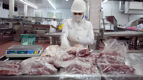 El conflicto sanitario entre Argentina y Chile deja en suspenso el comercio de productos animales en la Patagonia.