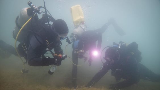 Tres bodegas bajaron botellas de distintos vinos para lograr una evolución diferente y las abrirán en el mes de enero. - Ignacio Blanco / Los Andes