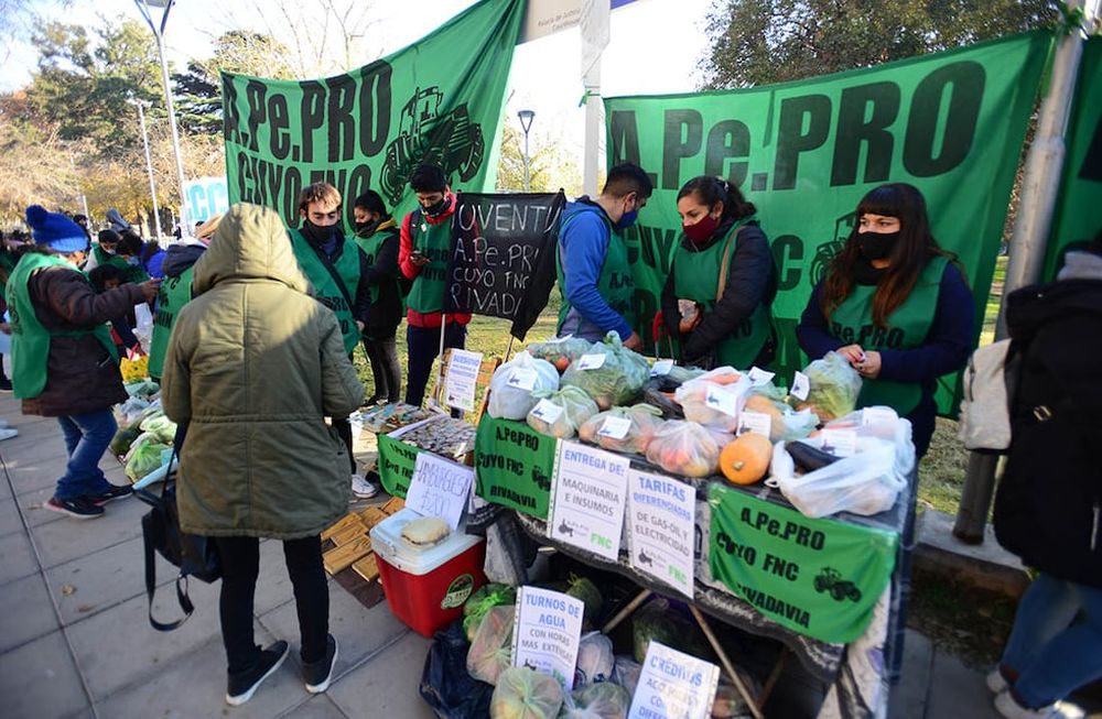 Pequeños productores agrícolas se manifestaron frente a Casa de Gobierno