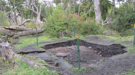 Excavación de un sitio arqueológico  (conchero) a orillas del Canal Beagle.