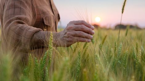 Los Andes | ALO54ZKDQJFVZHRRETLOPUBCC4.jpg?quality=75&smart=true&auth=2e2b1b91d8957912512fcc3644d5987e430ba4a76f6089a1ce5bd17668b081f5&width=980&height=640