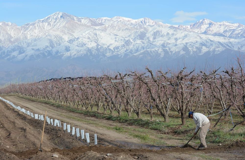 Mendoza es un desierto donde solo se puede ocupar el 4% por las limitaciones que genera la falta de agua.  - Claudio Gutierrez / Los Andes