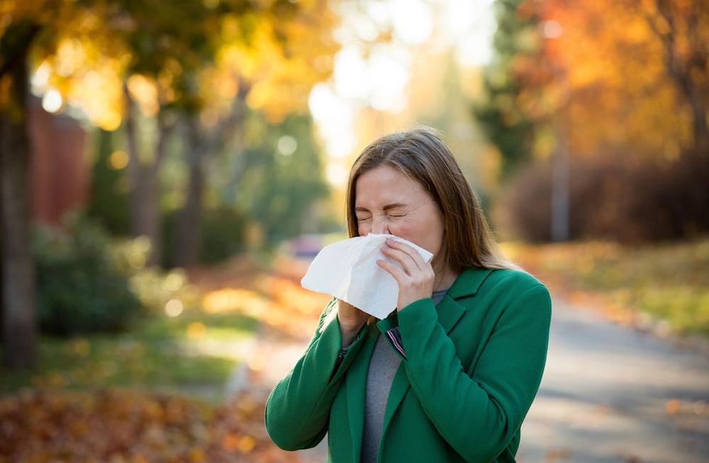 Por qué tenemos alergia: con la llegada del otoño se abre la temporada