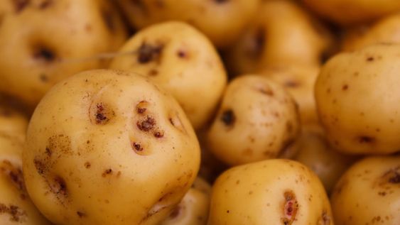 Cuál es la mejor forma de hacer papas.