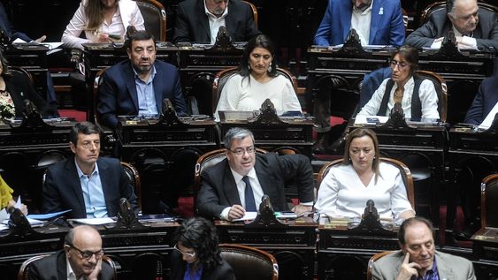 Diputados de Unión por la Patria buscan prohibir el pago desdoblado de jubilaciones (Foto: Federico López Claro)