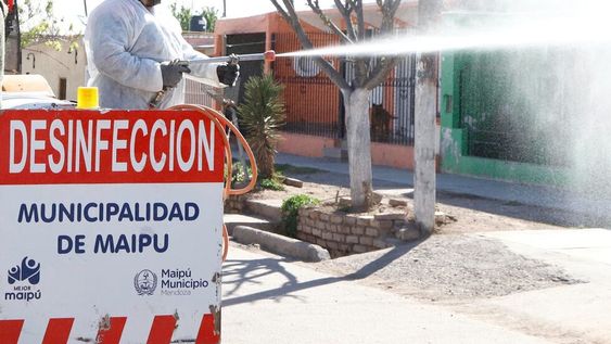 Prevención del dengue en Maipú