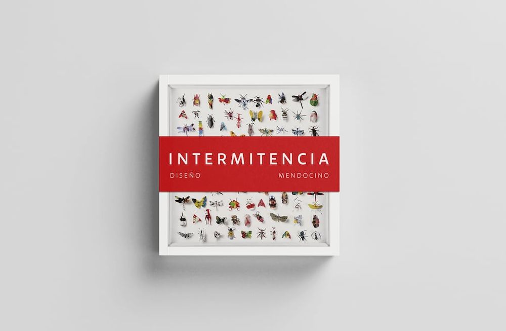 “Intermitencia. Diseño mendocino”, un libro que pormenoriza desde una mirada interdisciplinaria ocho décadas de diseño gráfico, arquitectónico y de productos en Mendoza.