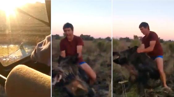 Cuatro detenidos por maltrato animal contra jabalíes a los que disparaban desde un helicóptero y luego filmaban la faena y la compartían en redes.