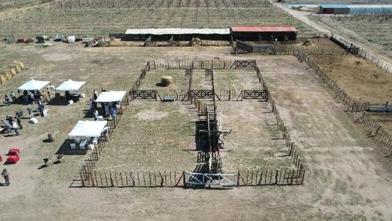 General Alvear cuenta con un corral privado, donde son llevados los animales incautados por la Dirección de Ganadería