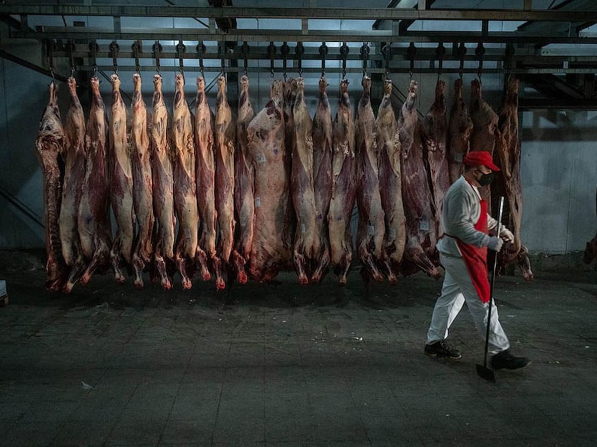 El gobierno autoriza la exportación de todo tipo de carne en cualquier formato. Foto: Ignacio Blanco / Los Andes