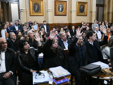 Senado: la oposición avanzó con leyes previsionales y de discapacidad.