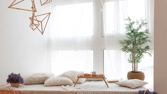 Con estas opciones vas a lograr mejorar el aire interior de la casa
