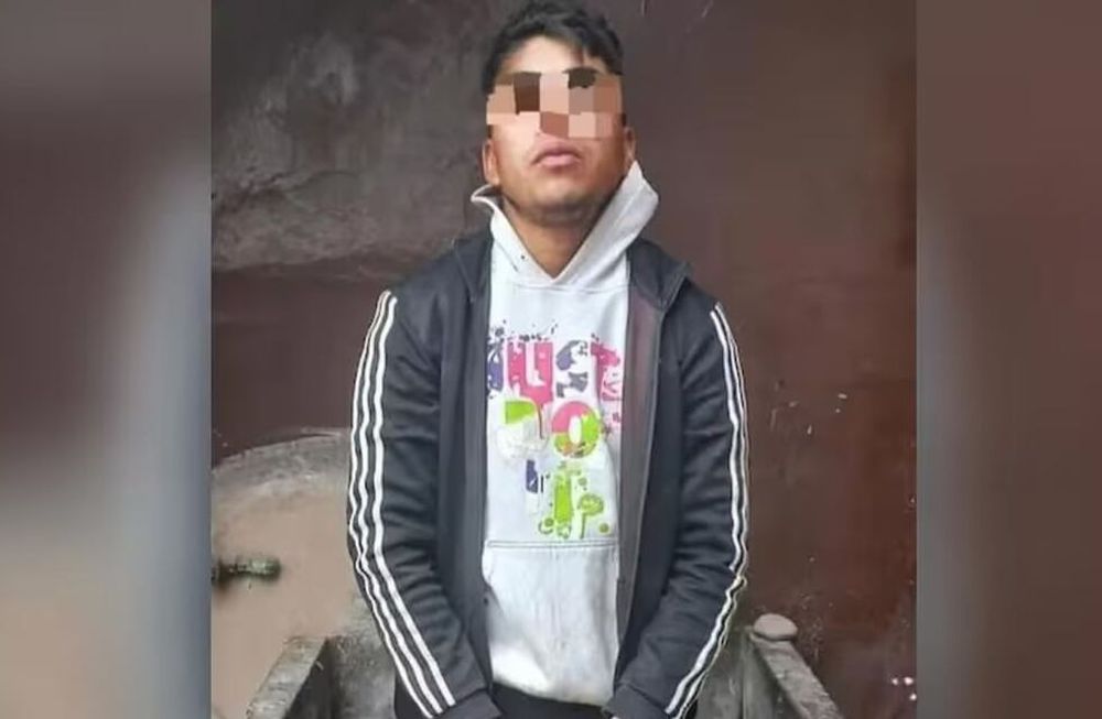 Condenan a hombre que mató a cinco perros: tendrá que realizar un curso de sensibilización animal y terapia. Gentileza: Jujuy al Momento.