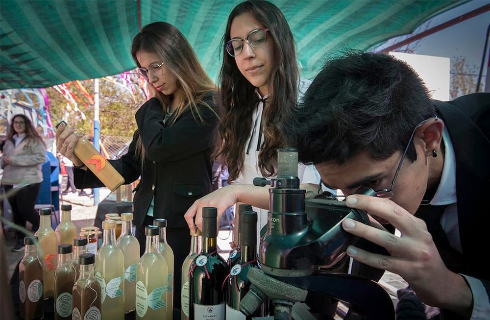 El concuro de Licores Artesanales, organizado por la escuela José Miguel Graneros, se viene realizando desde hace más de una década. Archivo /  Los Andes