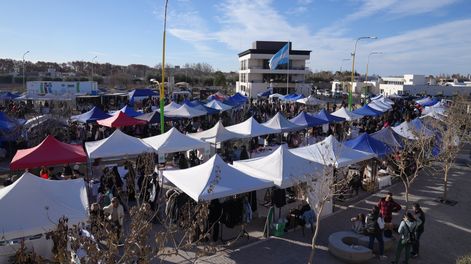 Chocolate entre viñas: segundo año exitoso de un fenómeno que crece (Gentileza Prensa Municipalidad de Junín)