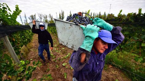 Impuesto al vino: otra incoherencia argentina