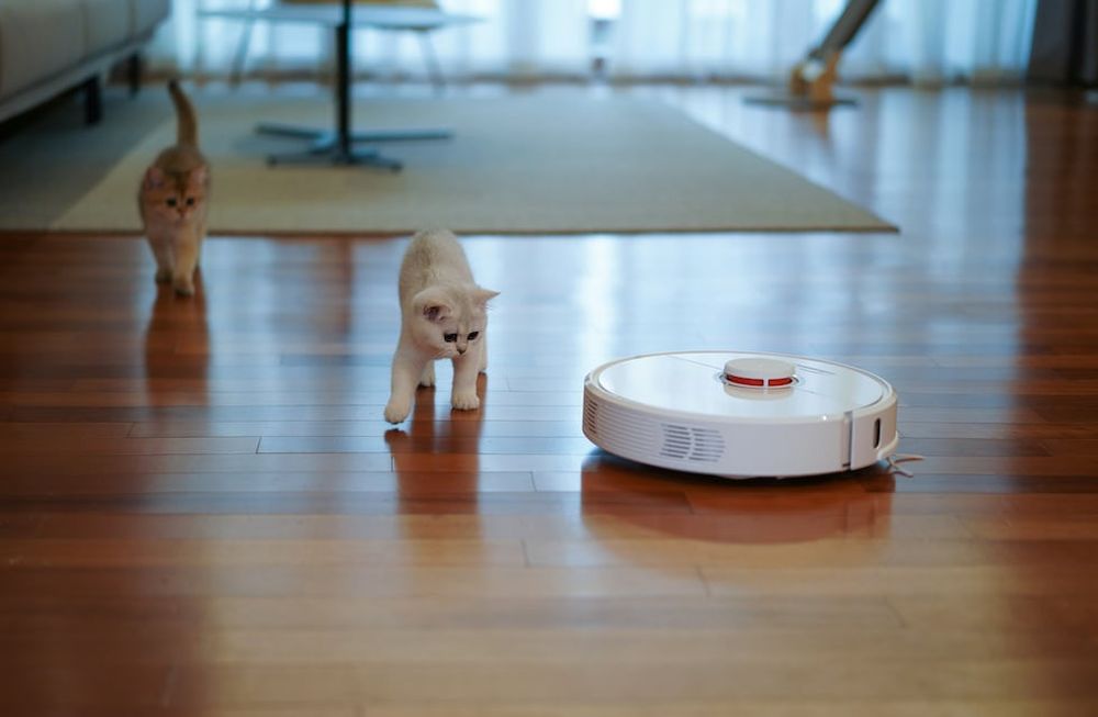 Cuánto sale una aspiradora robot en Chile y cuánto en Argentina. La diferencia te va a sorprender.