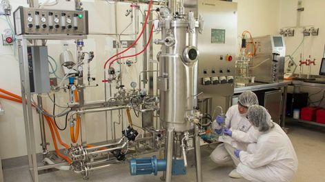 Biotecnología: carne cultivada, nuevo paradigma en el modo de obtener nutrientes