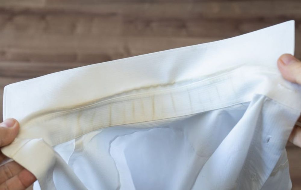 cuello de camisas